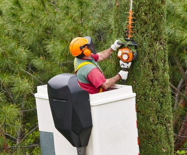 equipped-worker-pruning-a-tree-on-a-crane-gardeni-2023-11-27-05-00-42-utc